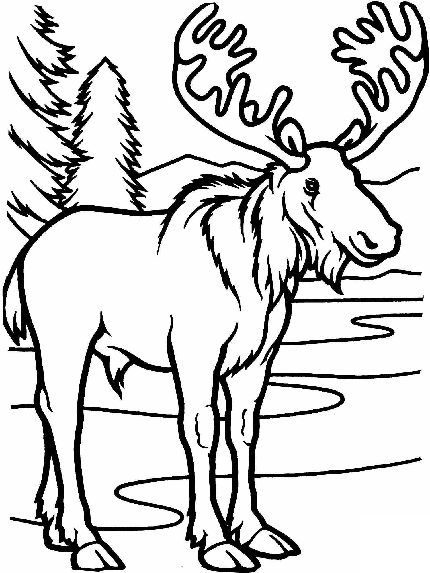 Free Printable Moose Coloring Pages For Kids Free Printable Moose Coloring Pages For Kids