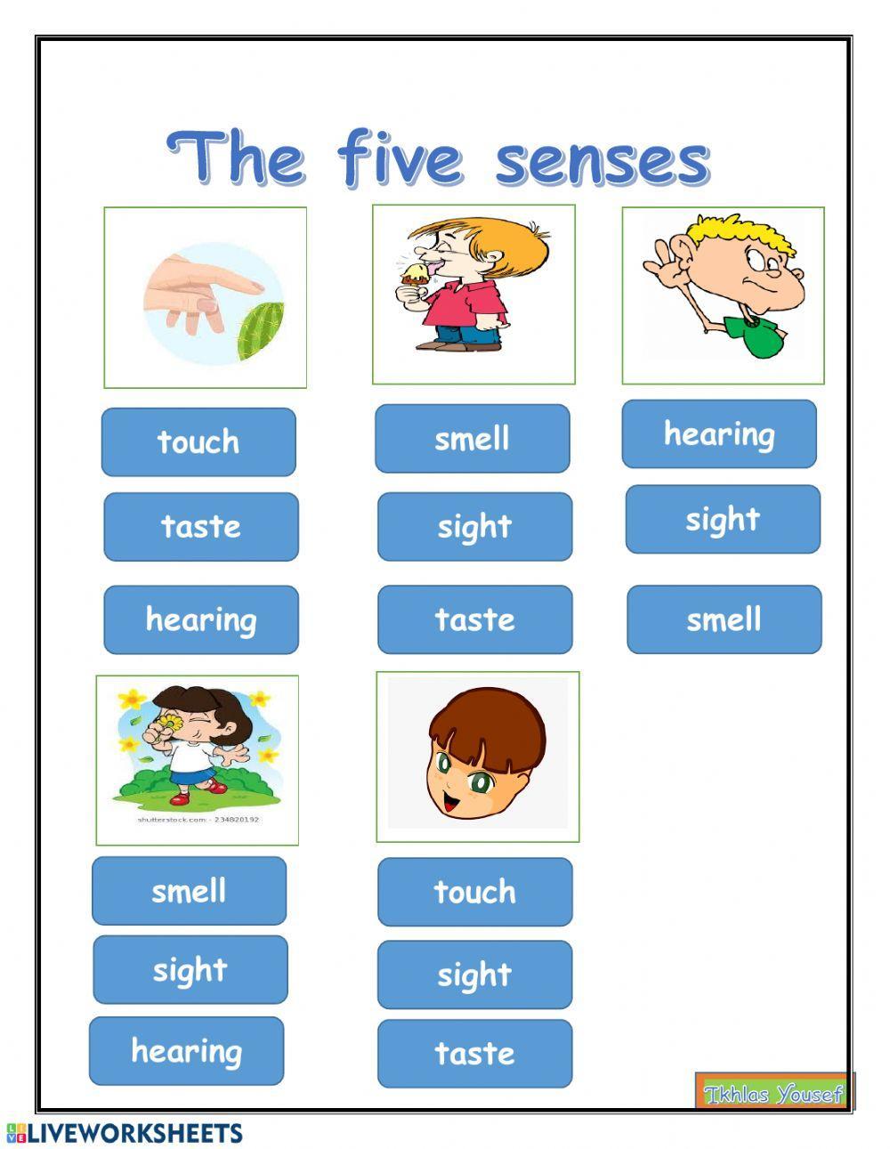 Printable Five Senses Smell Worksheet Free Printable